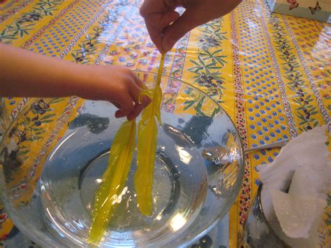 Oil Spill Experiment « The Kitchen Pantry Scientist