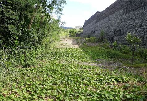 Mass Gravity Retaining Walls Maccaferri T Rkiye