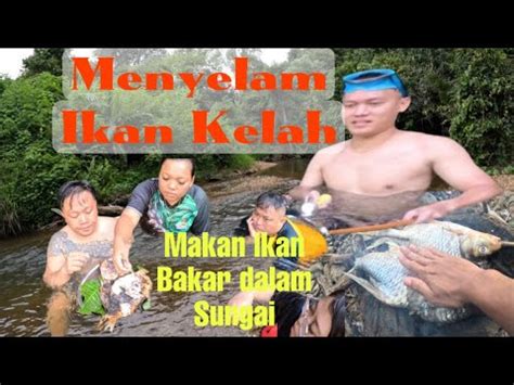 Camping Bersama Abun Bilun Dan Rakan Youtuber Yang Lain Di Sungai