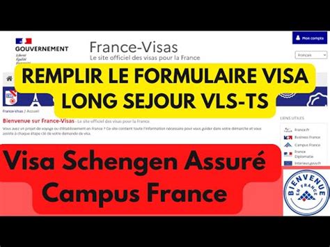 Formulaire De Visa En Ligne Comment Le Remplir Obtenir Un Visa