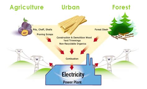 Bioenergy Implementation In Indonesia Part 5