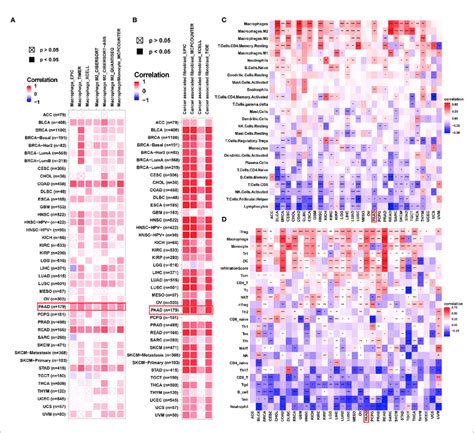 Immune Infiltration Analysis A B The Correlation Between ADAMTS12