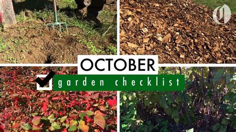 Overwinter Vegetable Beds Sheet Mulching Plant Garlic October