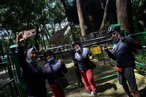 Taman Margasatwa Ragunan Kembali Dibuka Antara Foto