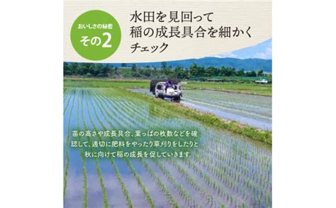 【令和5年産米】※2024年2月中旬スタート※ 特別栽培米 つや姫60kg（10kg×6ヶ月）定期便 山形県産【jaさがえ西村山】 山形県