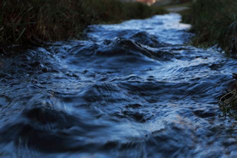 Songs Of The Spavinaw A Poem By Ruth Muskrat Bronson