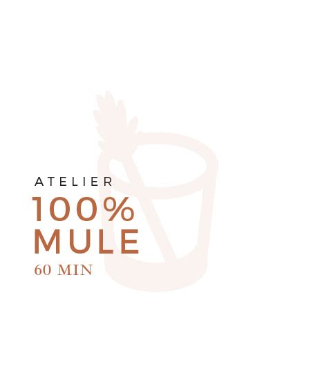 Cours De Mixologie 100 Mule Parisian Cocktail Club