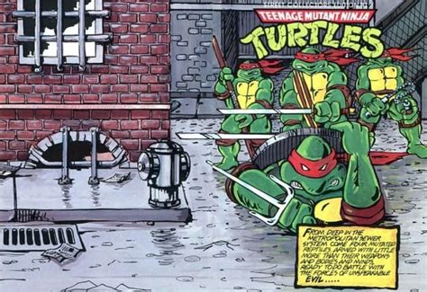 Teenage Mutant Ninja Turtles Street Collectors Edition Mirage