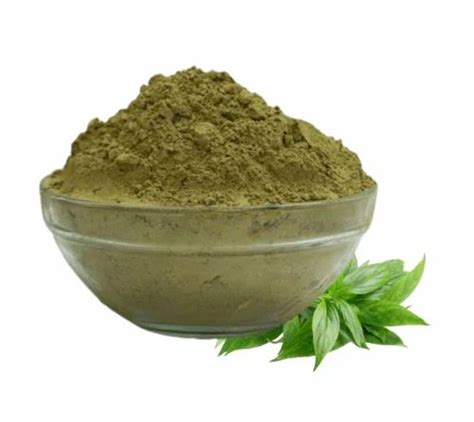 Green Andrographis Paniculata Kalmegh Powder Packaging Size Kg At