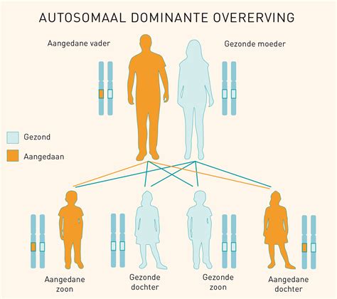 Autosomaal Dominant Erfelijkheidnl