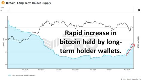 As baleias Bitcoin estão comprando um mergulho Mundo Tecnologia