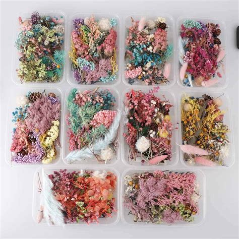 1 Box Real Dried Flowers For Resin Art, Jewelry, glitter – Phoenix