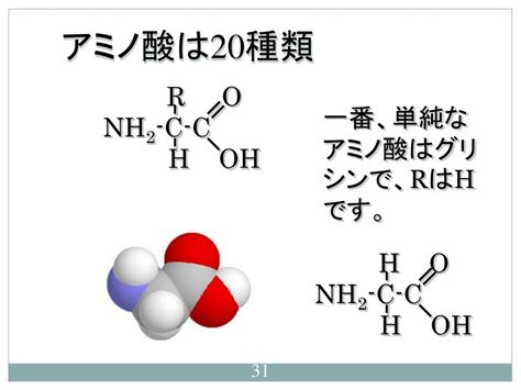 Ppt 生物学 Powerpoint Presentation Free Download Id7004583