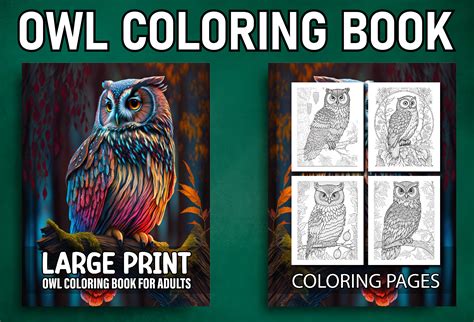 Owl Coloring Book for Adults Graphic by Kids Design World · Creative ...