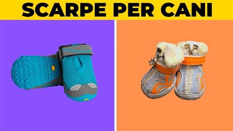 Scarpe per cani i 5 modelli più recensiti YouTube