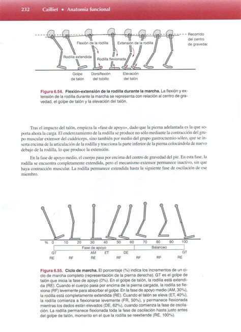 Anatomia Funcional Biomecanica Cailliet Pdf