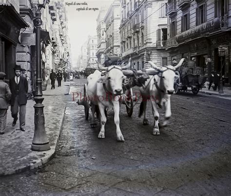 Napoli Via Duomo Quasi Angolo Via Nuova Marina In Primo Piano Carro