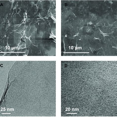 Sem Images Of The Go A And Cds Go Nanocomposites B Tem Images Of