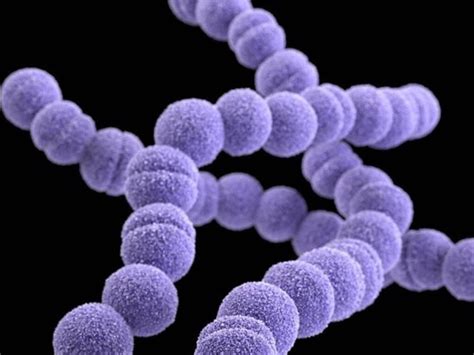 Warning Over Sharp Increase In Strep A Cases Across Western Australia