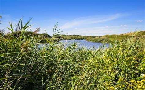 Countryside activities in Lorient Bretagne Sud - Visit Lorient Brittany