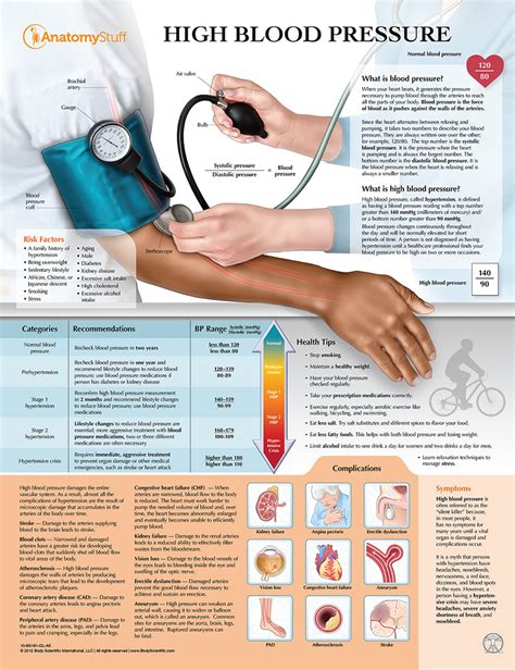 High Blood Pressure Chart | Managing BP | Hypertension Poster