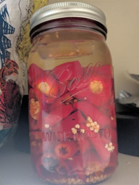 My First Attempt At Making Hot Sauce R Fermentation