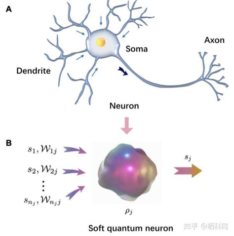 用于量子神经计算的量子神经网络模型—南京大学陈增兵团队新进展 知乎