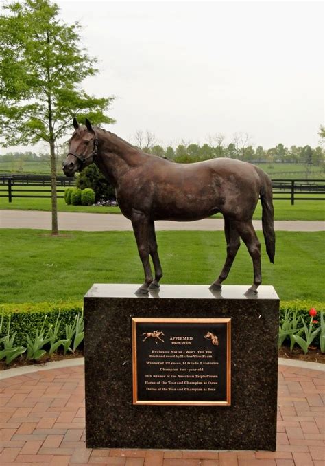 Affirmed Race Horse In 1978 He Became The 11th Horse To Win