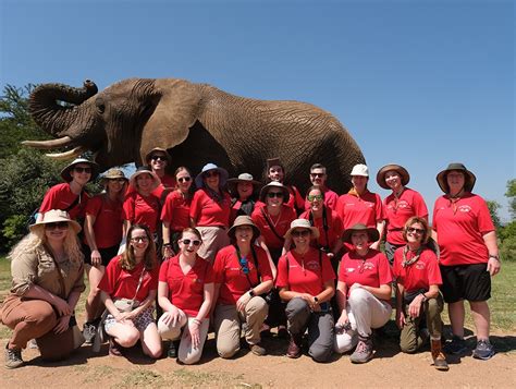 University of Cincinnati students and researchers travel to Africa to ...