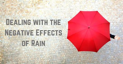 Dealing With The Negative Effects Of The Rainy Season