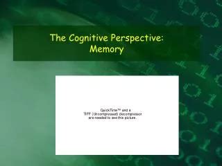 PPT Key Assumptions Of The Cognitive Perspective PowerPoint