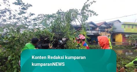 Pohon Di Cakung Dan Cipinang Melayu Tumbang Imbas Hujan Deras Yang