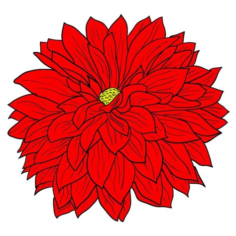 Premium Vector | Beautiful color sketch dahlia flower on a white background