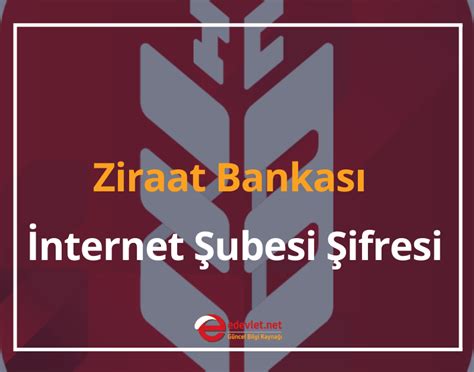 2024 Ziraat Bankası İnternet Şubesi Şifresi Nasıl Alınır eDevlet net