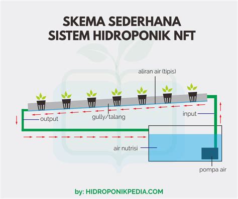 Kebutuhan Air Tanaman Pada Hidroponik Nft Holymayhem