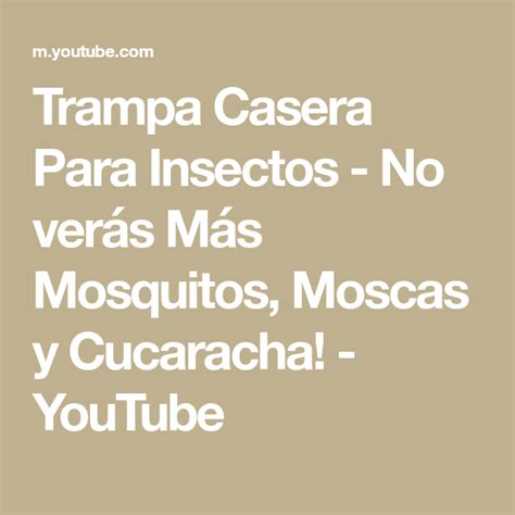 Trampa Casera Para Insectos No verás Más Mosquitos Moscas y