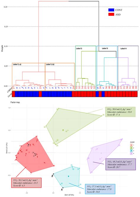 Dendrogram And Factor Map Obtained By Agglomerative Hierarchical