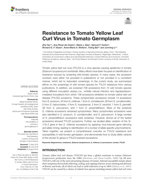 (PDF) Resistance to Tomato Yellow Leaf Curl Virus in Tomato Germplasm