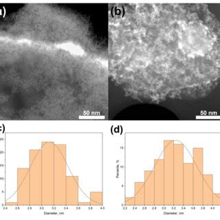 Characteristic Stem Micrographs And Zno Nps Size Distributions Of