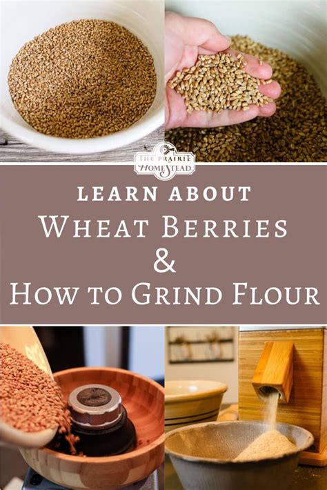 How To Use A Grain Mill To Make Your Own Flour From Wheat Berries The