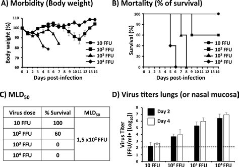 流感病毒在小鼠感染模型中的研究 Scientific Article Protocol Jove Translated To