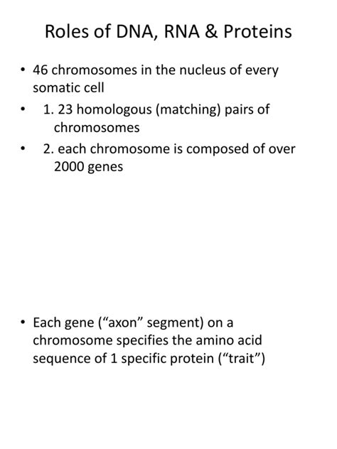 Genetic Disorders | PDF | Genetic Disorder | Mutation