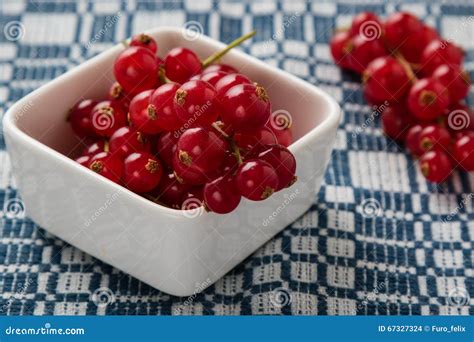 Red Currant In White Bowl Stock Photo Image Of Nature 67327324