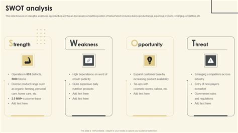 Netsurf Business Profile Swot Analysis Ppt Model Vector Pdf