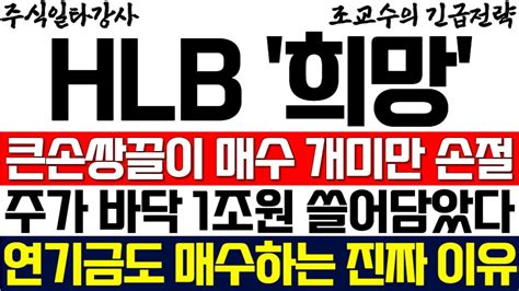 Hlb에이치엘비 조교수 기관 외인 큰손 쌍끌이 매수 개미만 손절 주가 바닥 1조원 쓸어 담았다 연기금도 매수하는