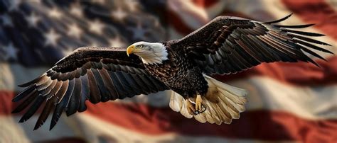 Premium Photo Soaring Bald Eagle With American Flag Background