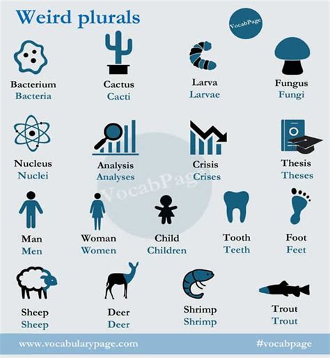 Weird Plurals In English Vocabulary Home