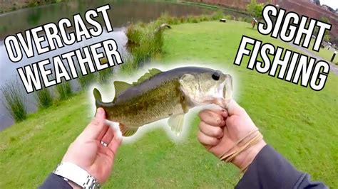 Bass Fishing In A What Used To Be Quarry YouTube