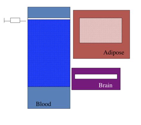 Pharmacokinetics Flashcards Quizlet