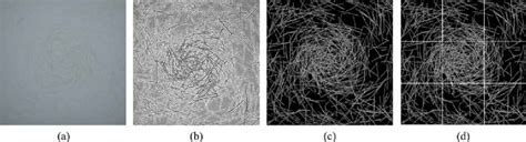 Quadrat image analysis processing: (a) original image; (b) after ...